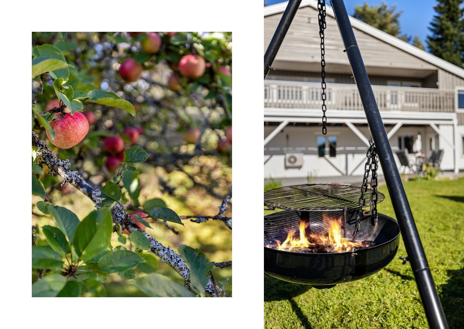 Den frodige hagen er usjenert og skjermet for innsyn, og har masse plass for lek og rekreasjon. Hagen er bestående av epletre og stikkelsbær, solbær og bringebærbusker. Galleribilde