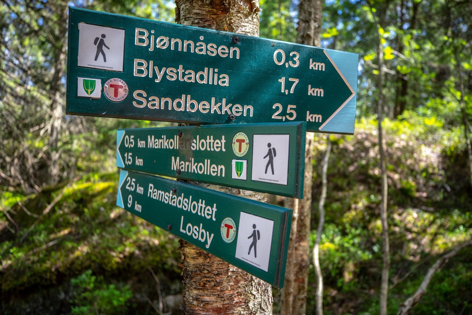 Det er kort vei til helårs turterreng i nærområdet. Galleribilde