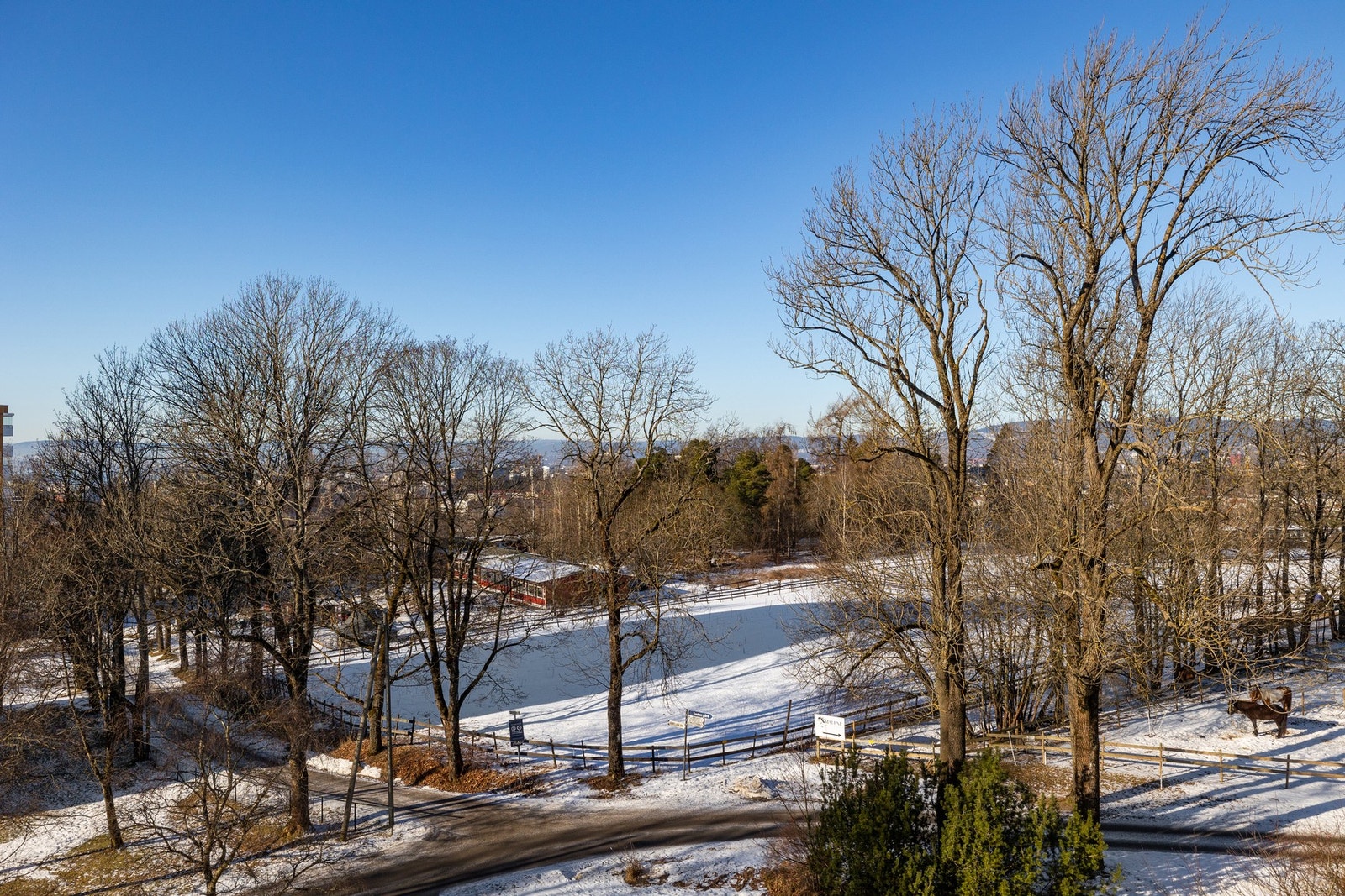 Flott utsikt mot frodige områder. Galleribilde