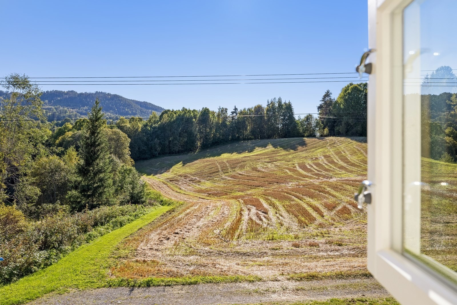 Flott utsikt utover området rundt eiendommen. Galleribilde