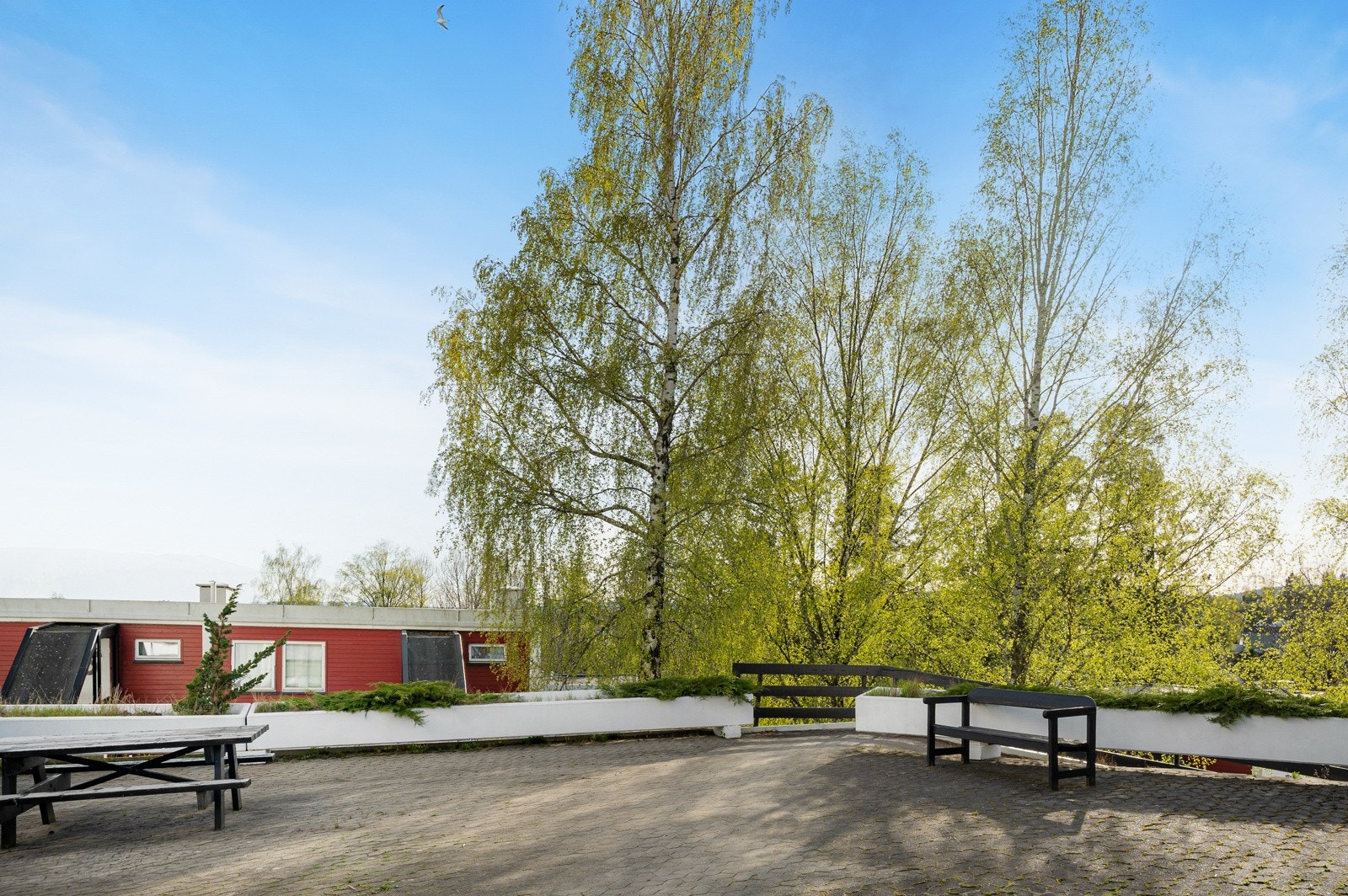 På borettslagets tomt finner du hyggelige sitteplasser. Galleribilde