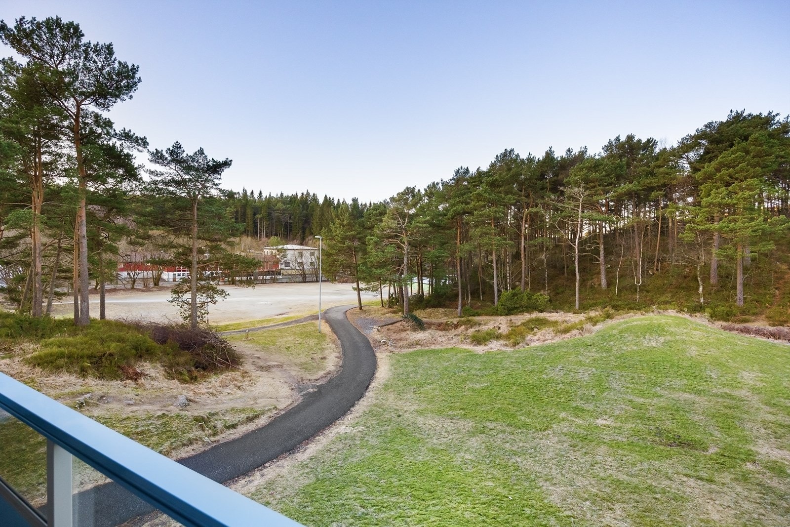 Det er store friluftsområder med furuskog og stier i området Galleribilde