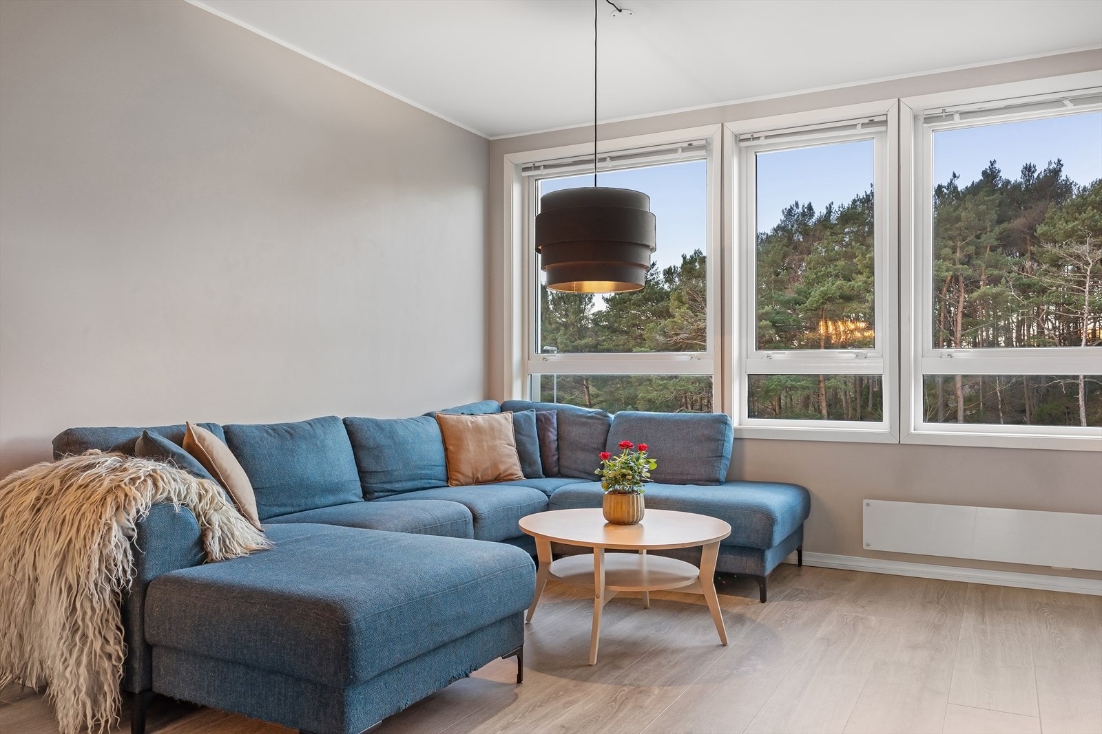 Her er også store vindusflater som bidrar med godt naturlig lys Galleribilde