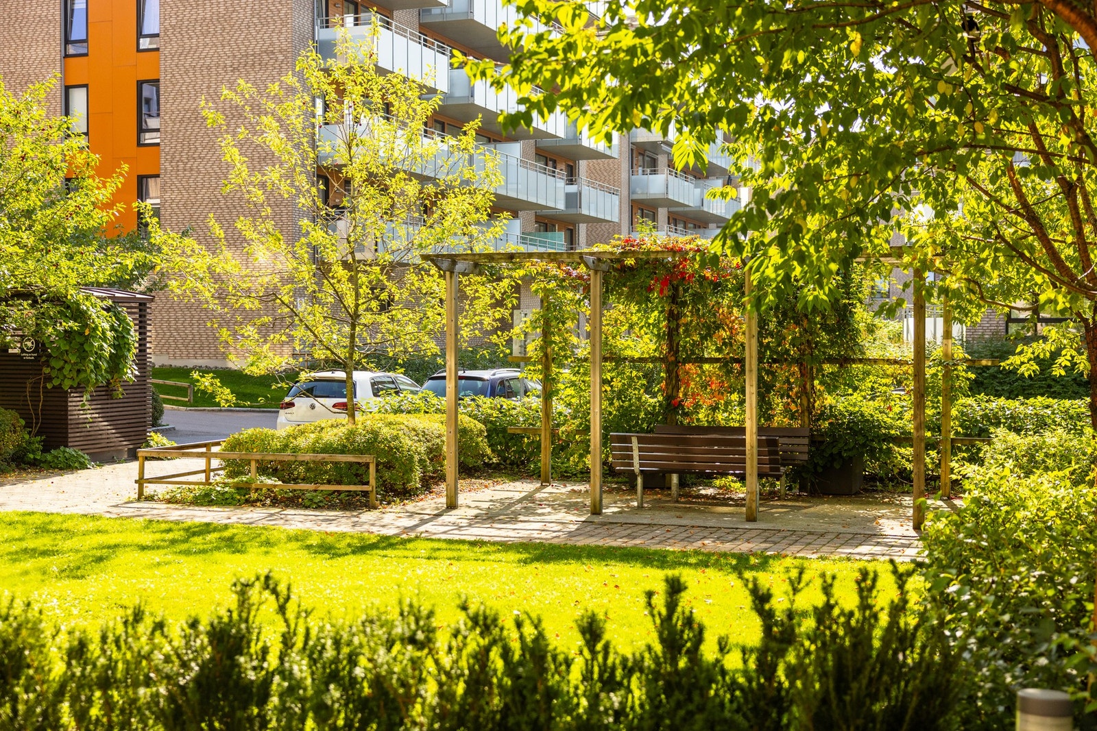 Grønne, frodige fellesområder og sittebenker med pergola. Galleribilde