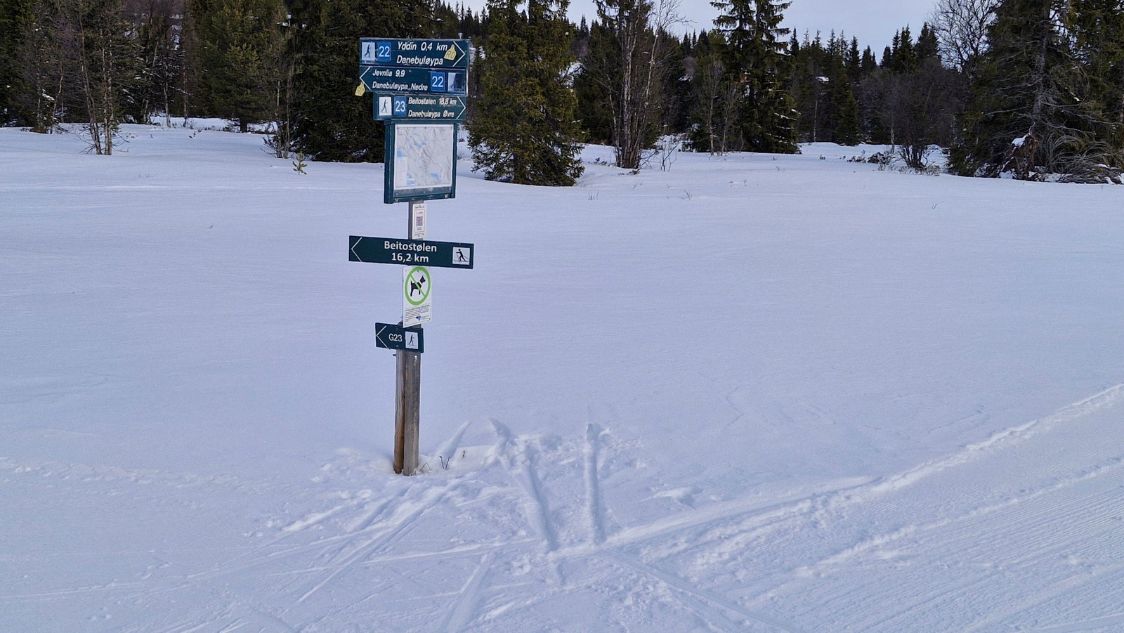 Hvor vil du gå? Galleribilde