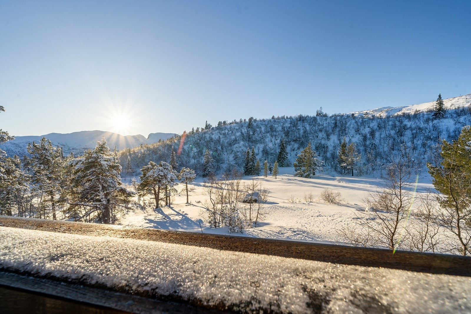 Utsikt fra solrik terrasse. Galleribilde