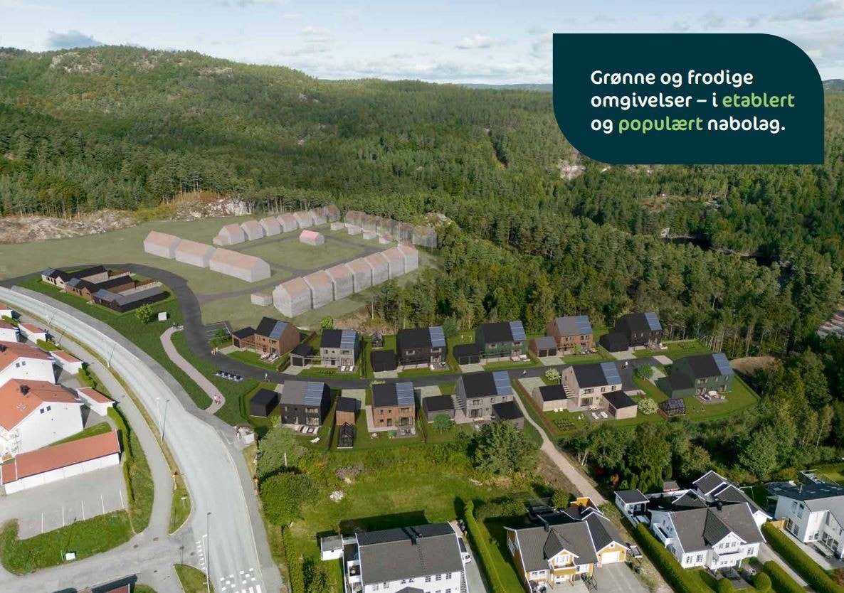 Oversikt Galleribilde