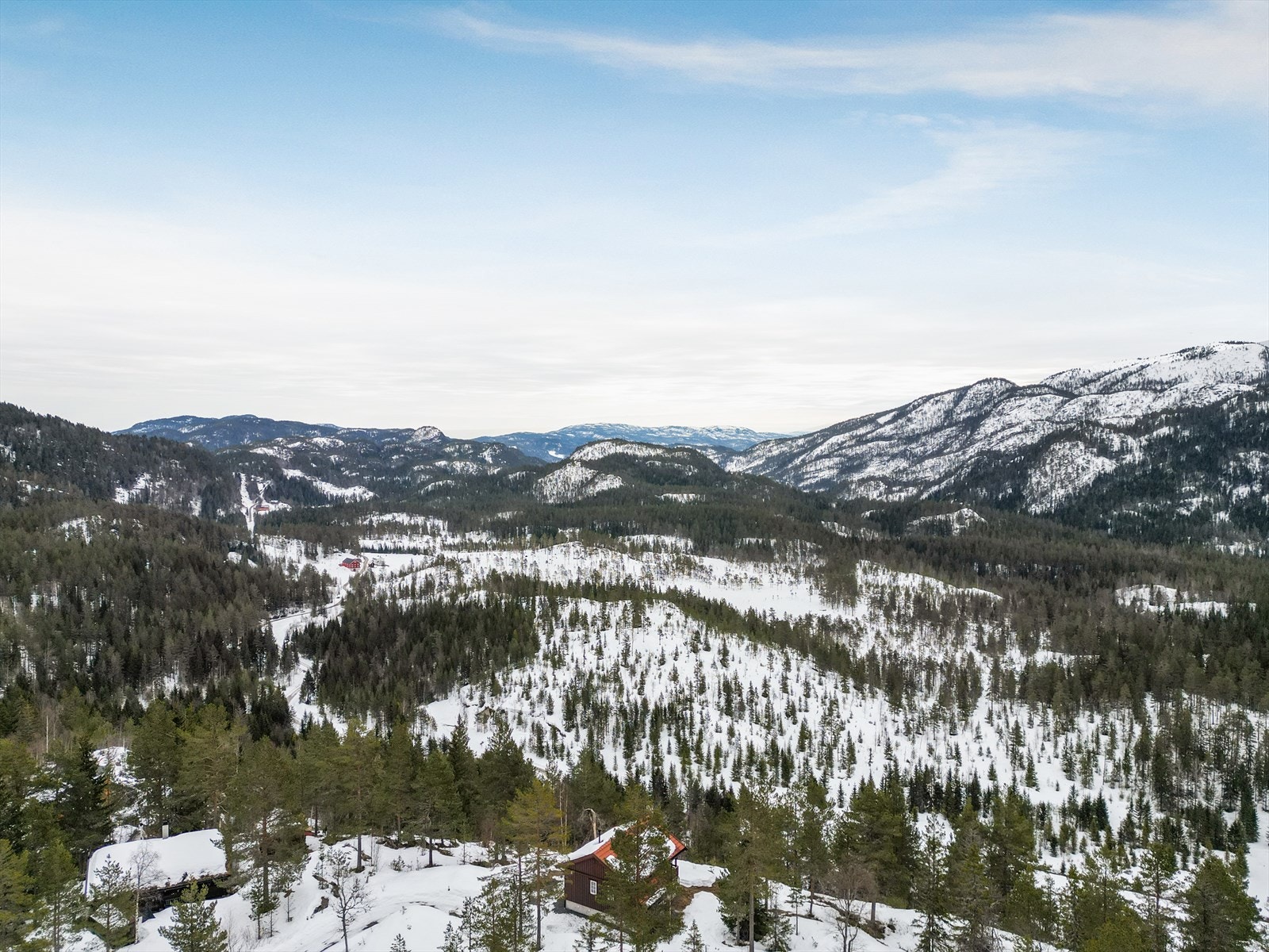 Seljordsheii er hele heiområdet sør for Seljord i retning mot Brokefjell og Kilen.
Her har man muligheter til turer i skog og mark, sanking av sopp og bær, samt gode naturopplevelser - uten å gå i kø. Galleribilde