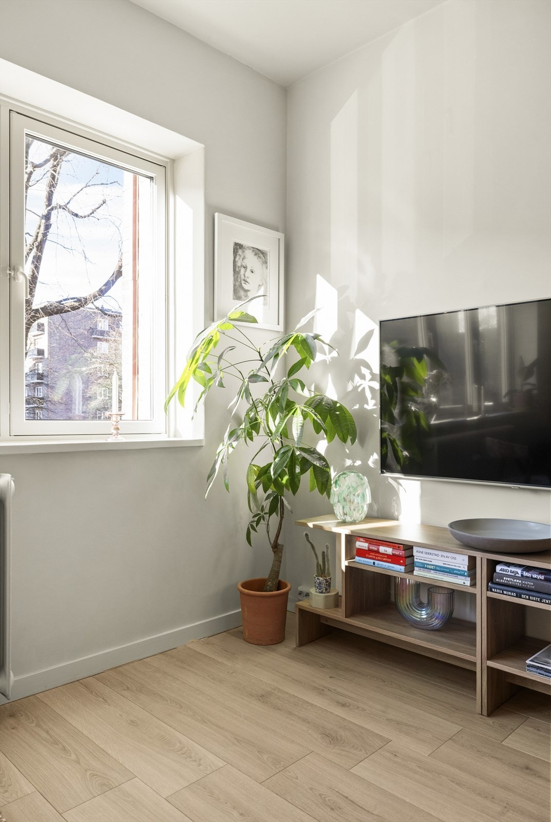 Legg merke til lysinnslippet Galleribilde