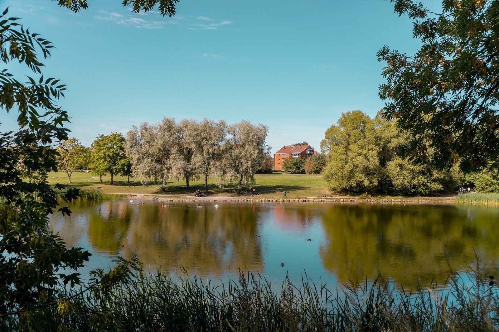 Store flotte grøntområder og rekreasjonsmuligheter med bl.a. Valle Hovin med andedammen, Hasleparken ved Hasle kirke, Tøyenparken, Kampen Park og Botanisk hage Galleribilde
