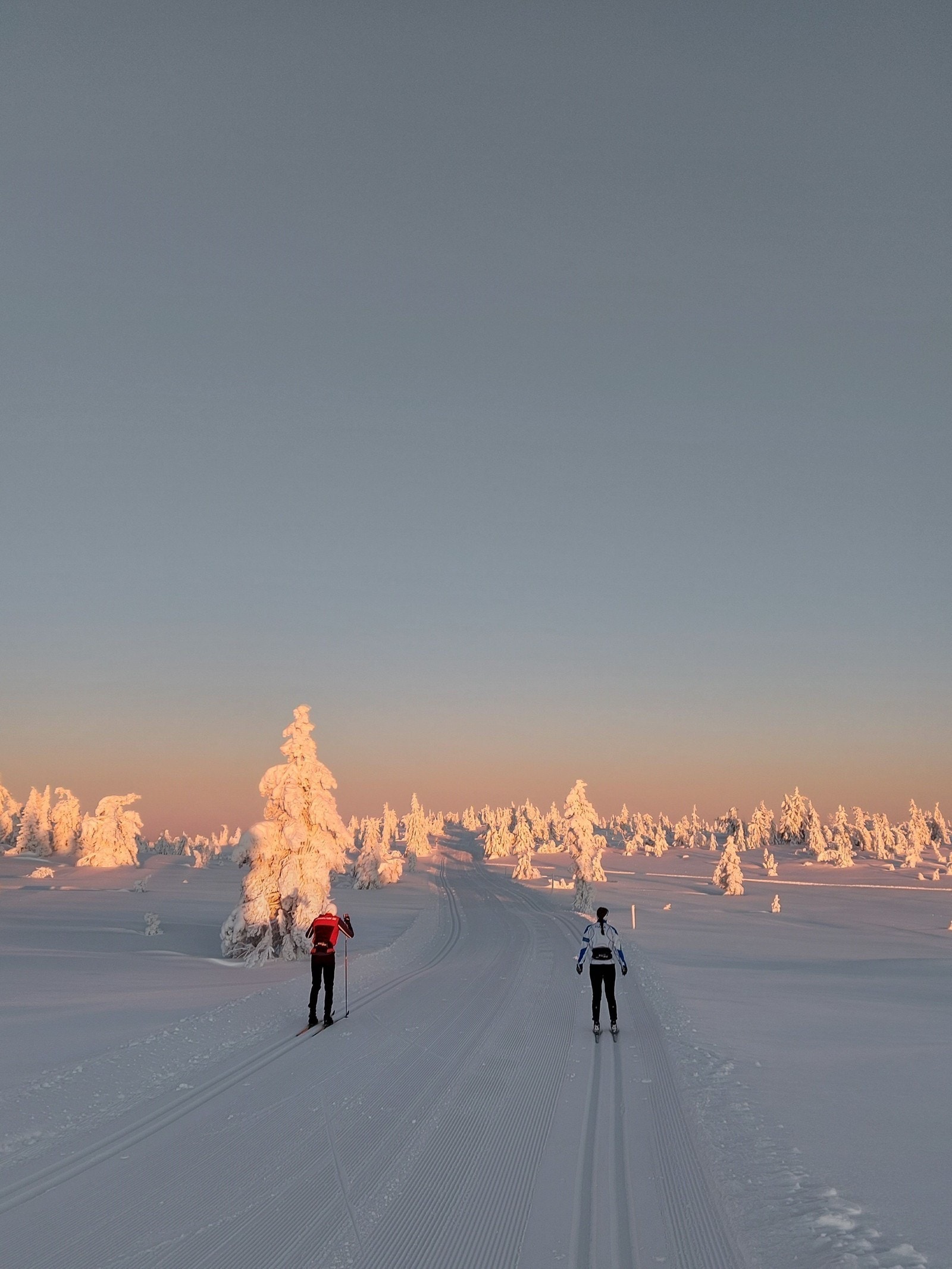 Budor - et hytteparadis! Galleribilde