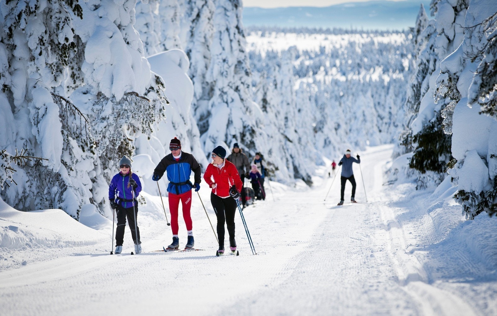 Budor - et hytteparadis! Galleribilde