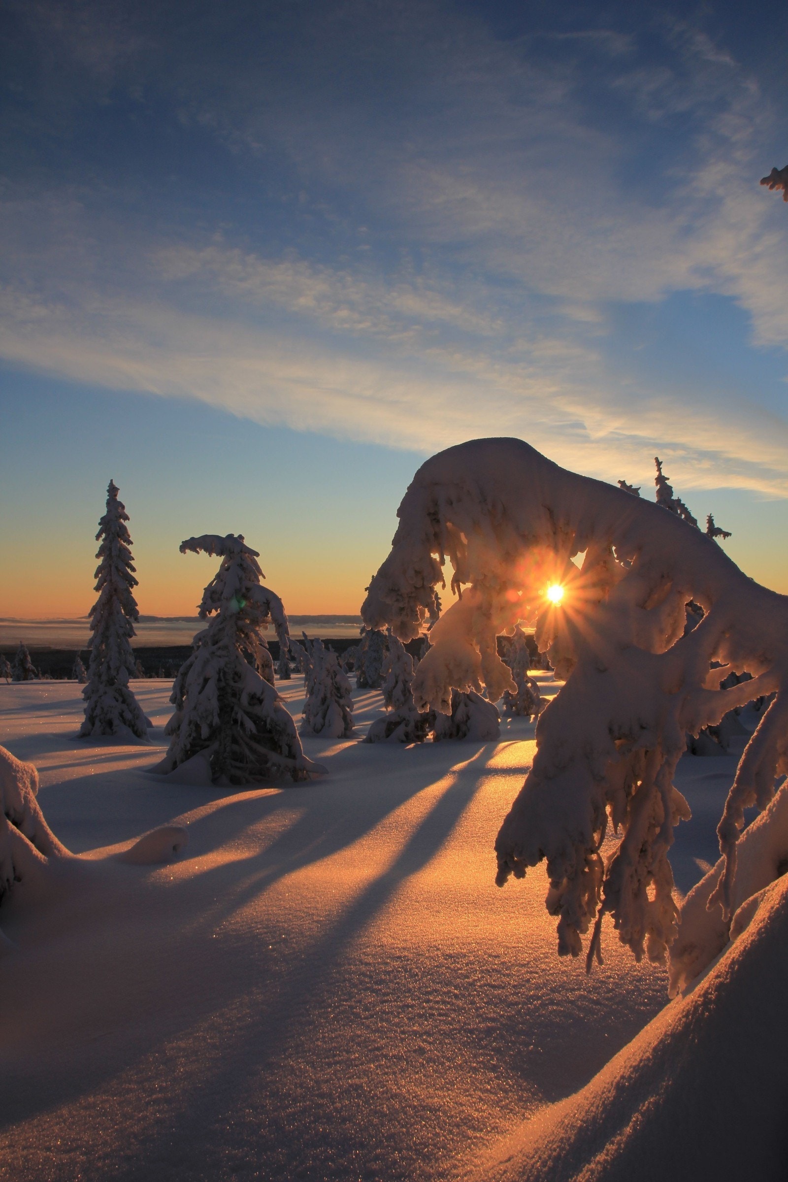 Budor - et hytteparadis! Galleribilde