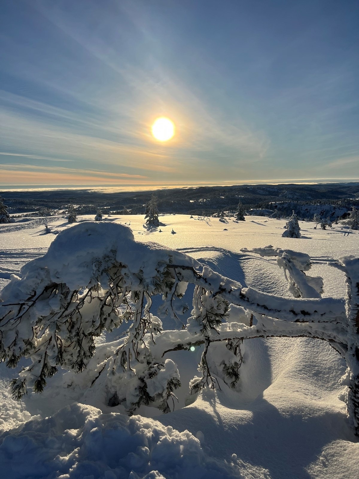 Fantastisk vinterstemning! Galleribilde