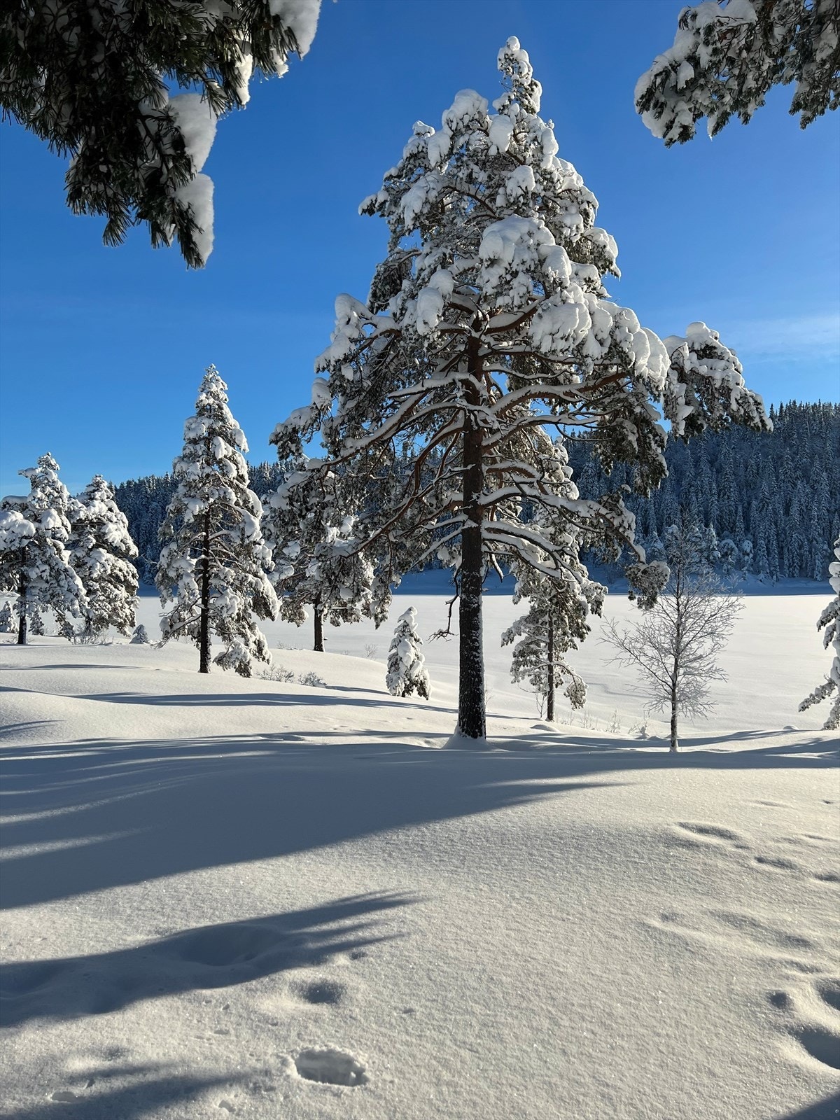 Stemningsbilde fra området ved Høgås Galleribilde