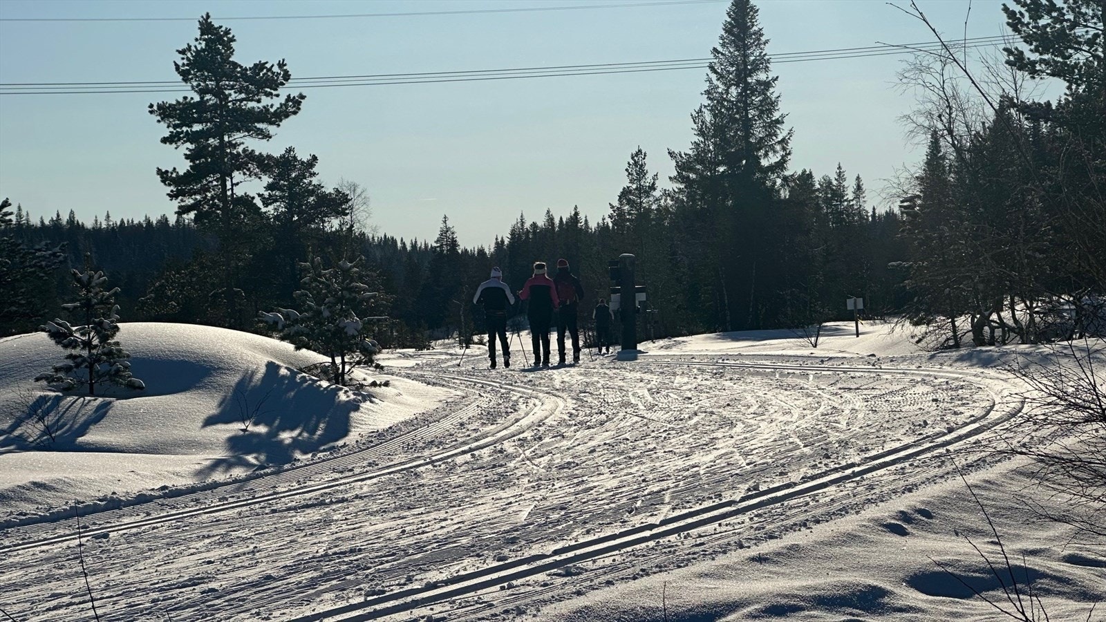 Skiløypene like nedenfor Slettemyr 5 Galleribilde