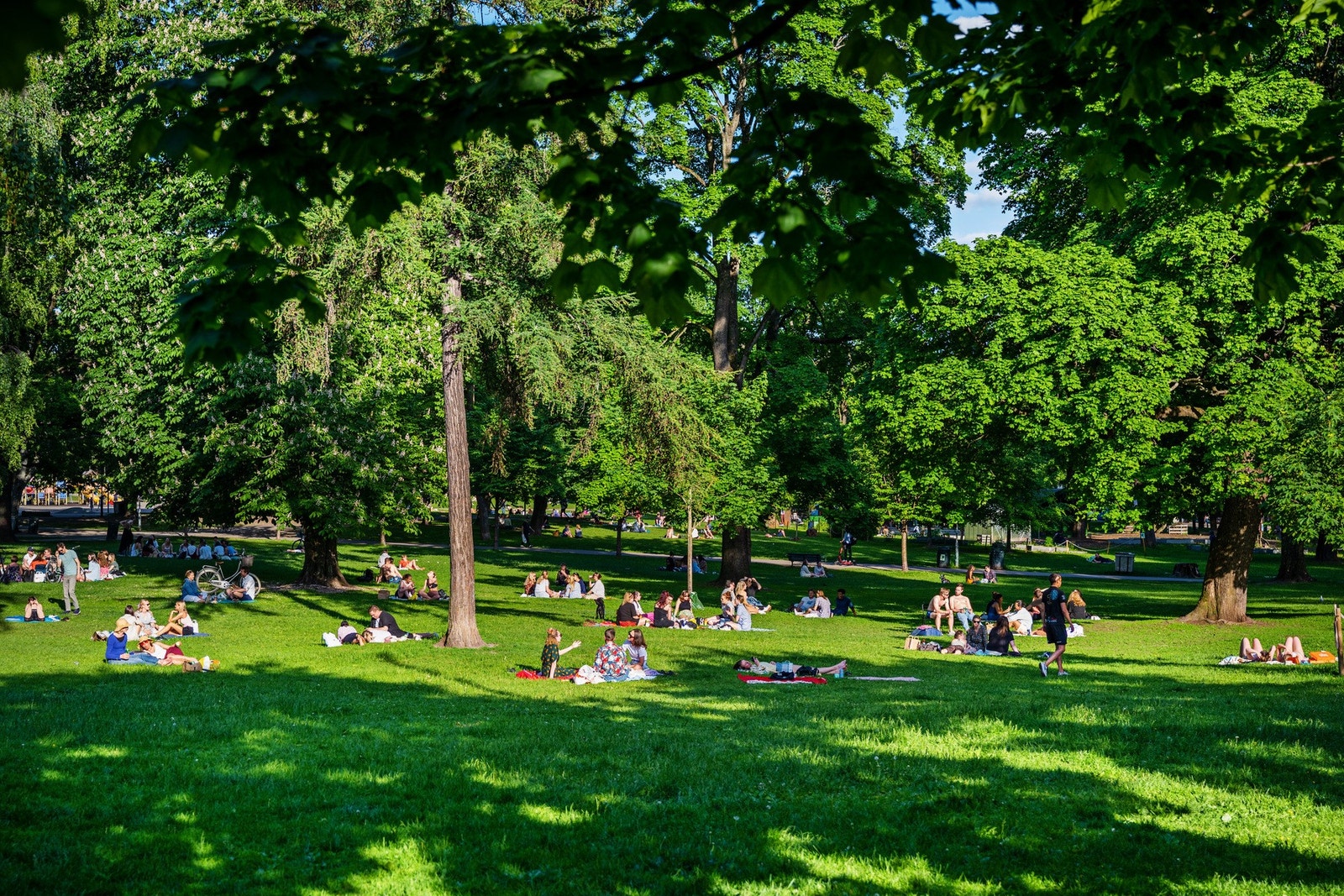 I nærområdet har du flere parker, som Sofienbergparken. Galleribilde