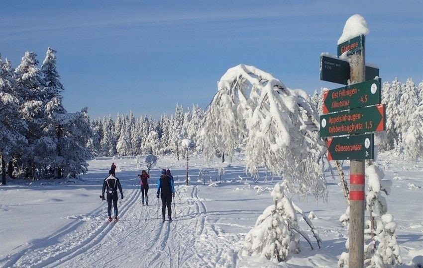 Fantastiske skiløyper rett utenfor døren Galleribilde