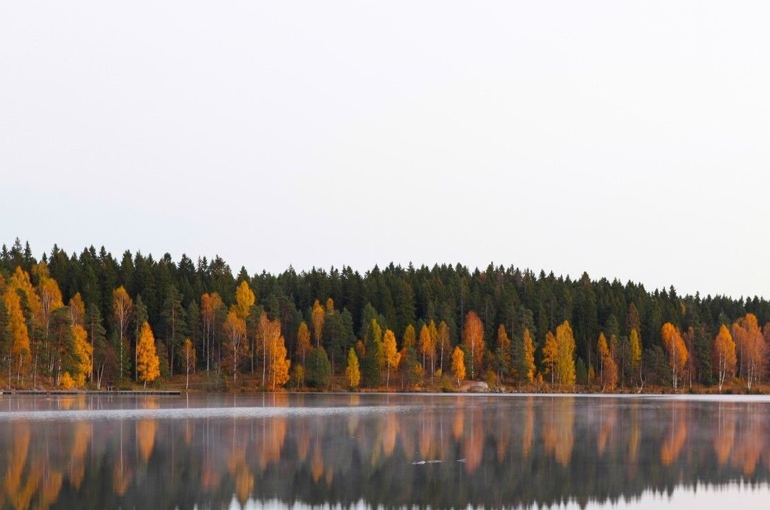 Her går man fra leiligheten, over Gaustadjordet og rett inn i Nordmarka! Galleribilde