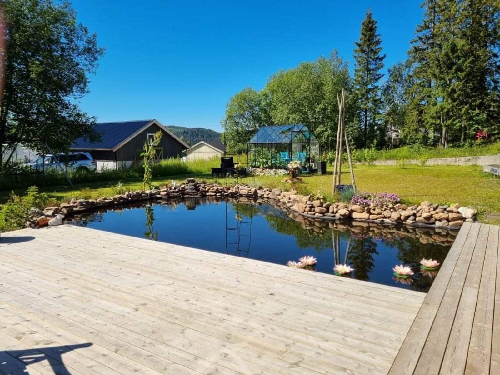 Sommerbilde fra hagen. Galleribilde