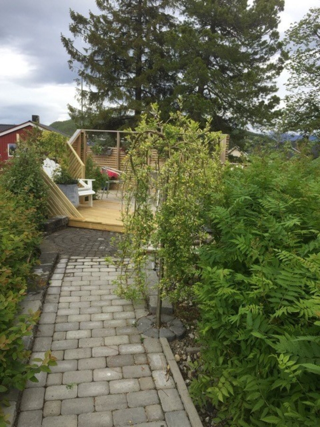 Sommerbilde Galleribilde