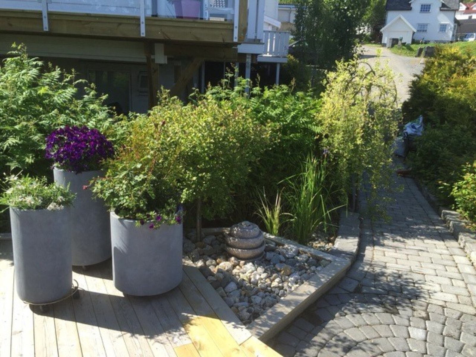 Sommerbilde Galleribilde