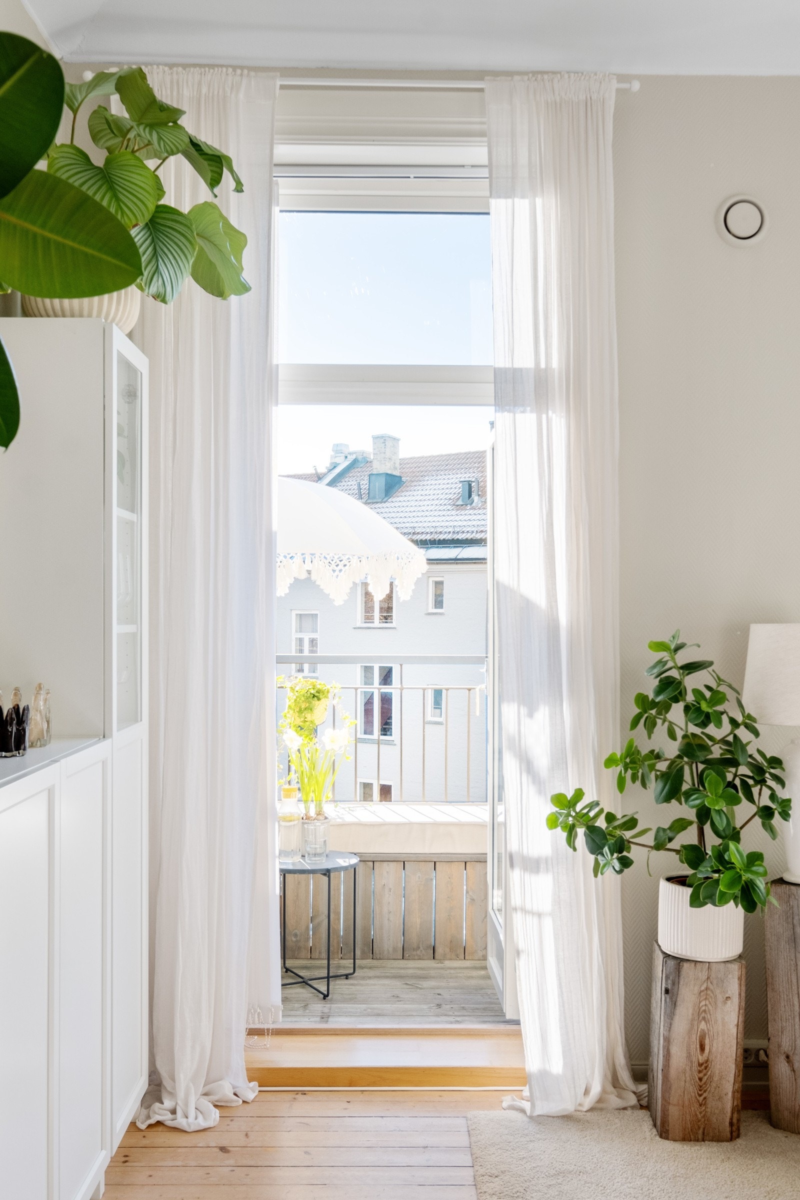 Vindusflatene slipper inn rikelig med naturlig dagslys. Galleribilde