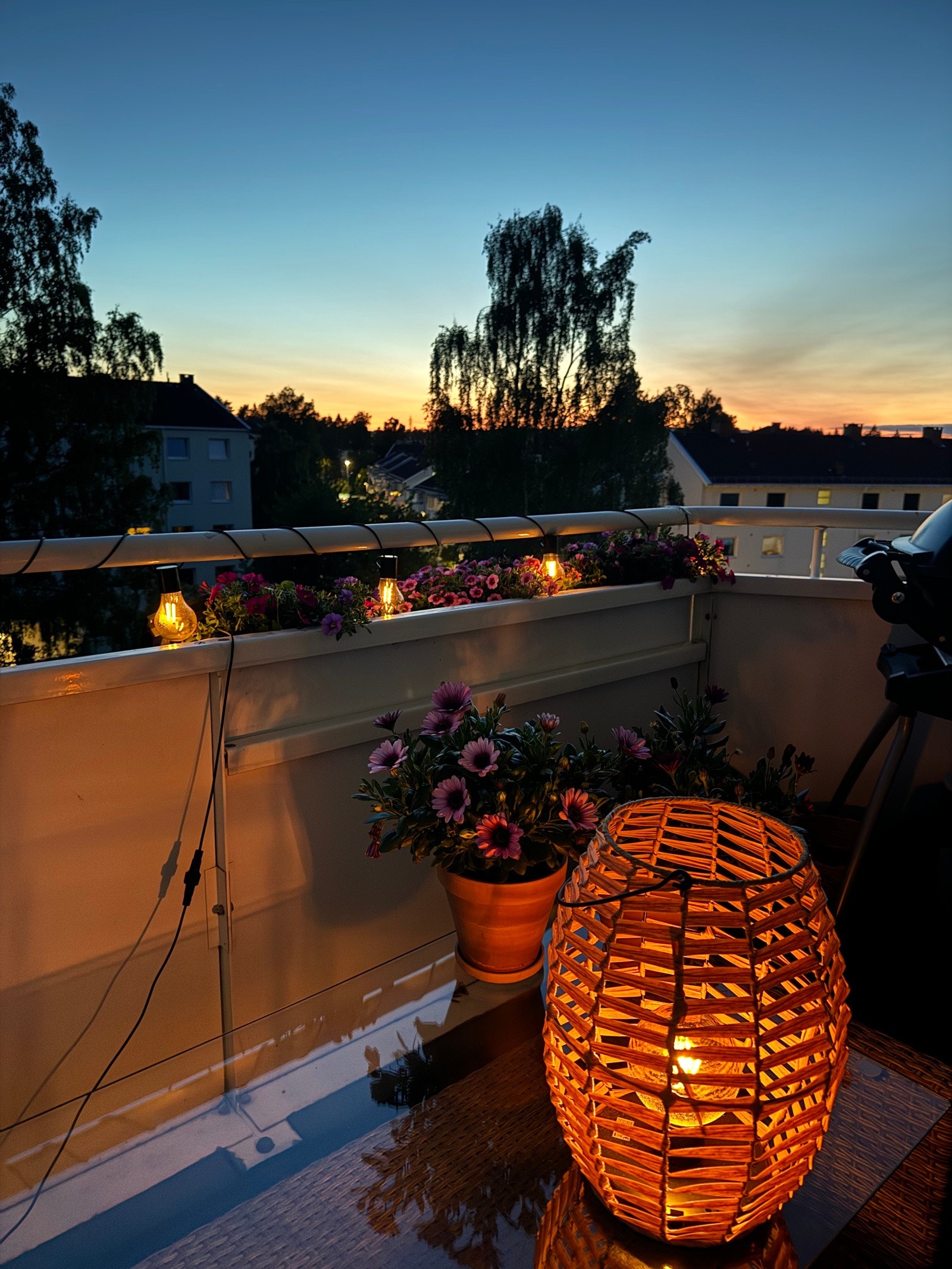 Kveldssteming en sommerkveld. Selgers foto. Galleribilde