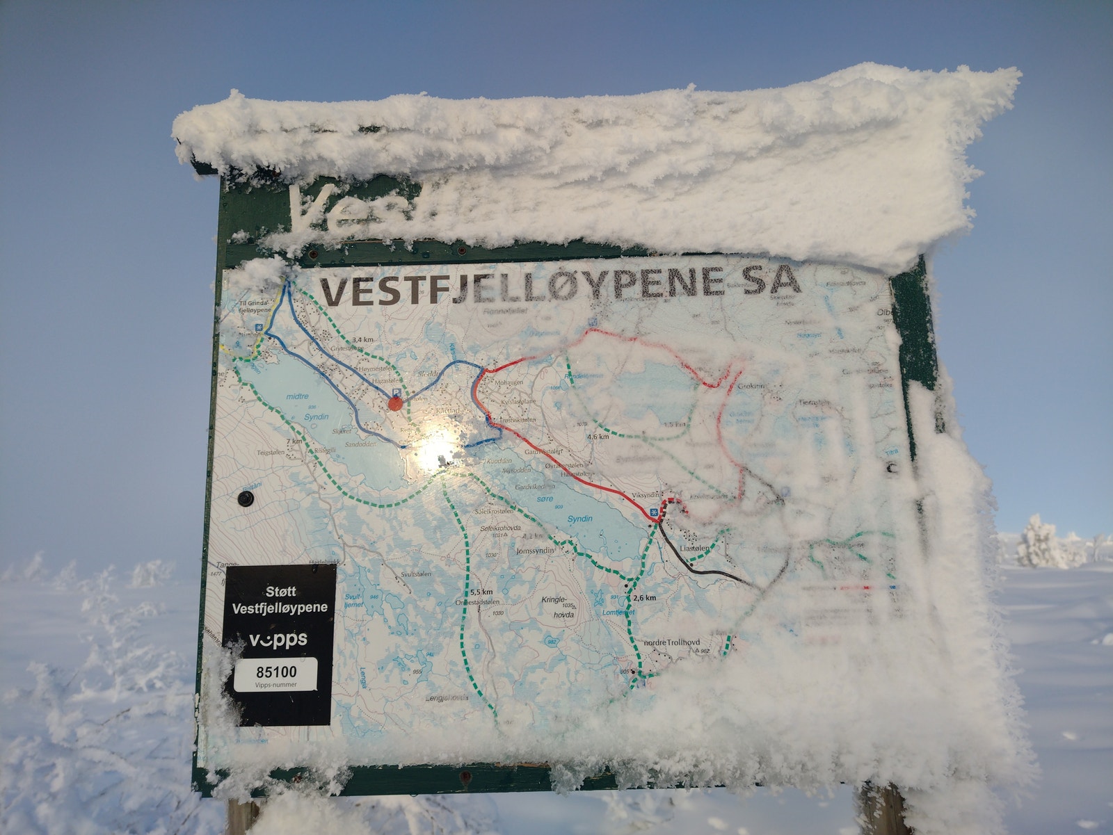 Massevis av løyper Galleribilde