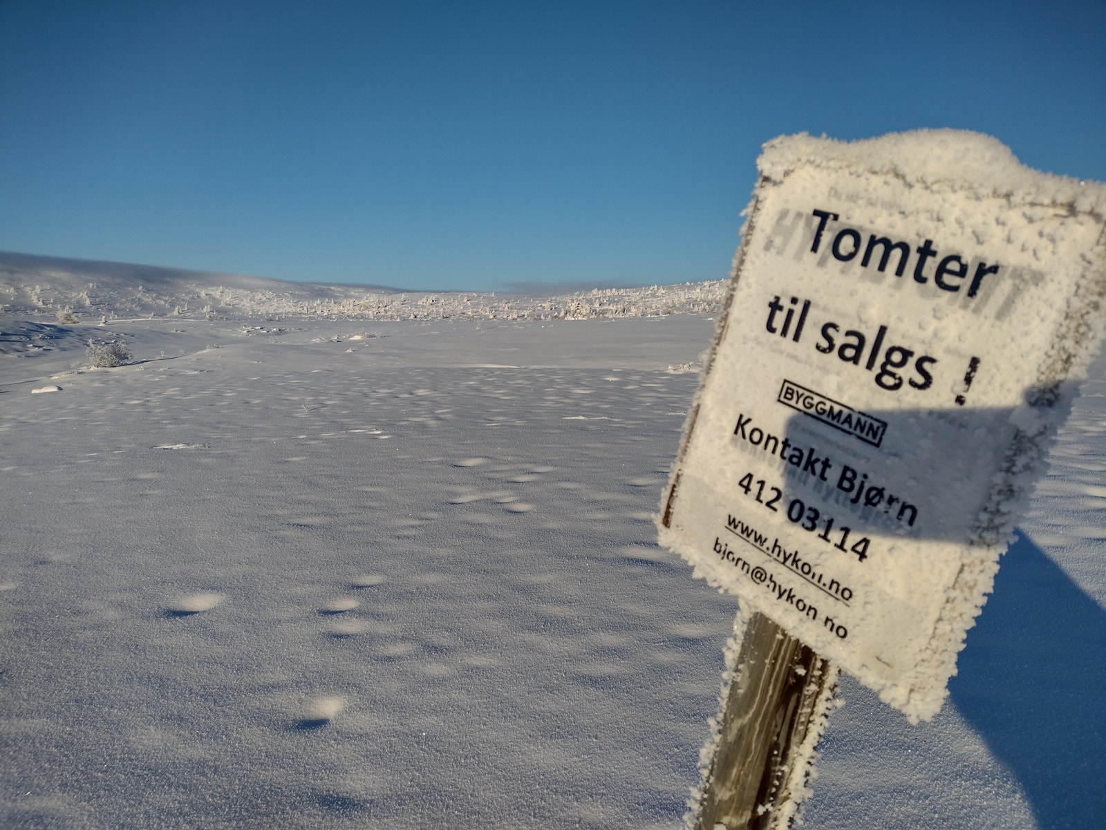 Unike tomter! Galleribilde