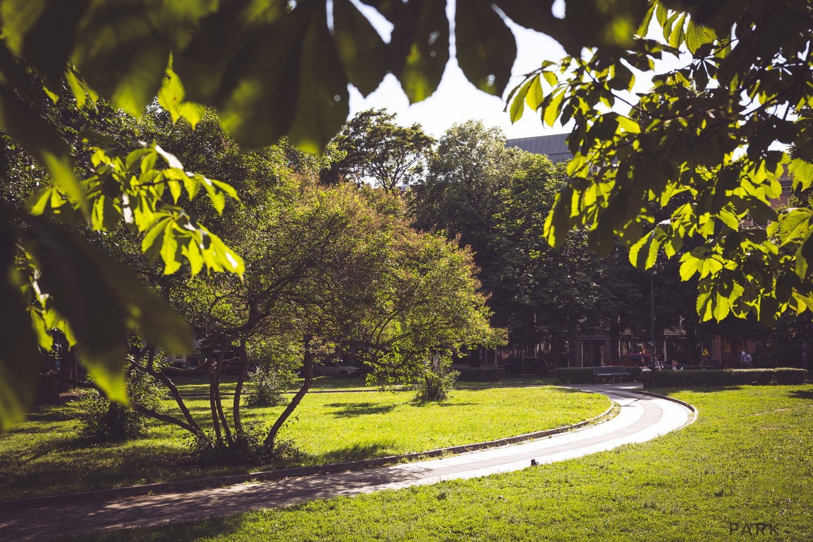 Av rekreasjonsmuligheter i området kan du velge mellom Botanisk hage, Ola Narr, Torshovdalen, eller Sofienbergparken. Galleribilde