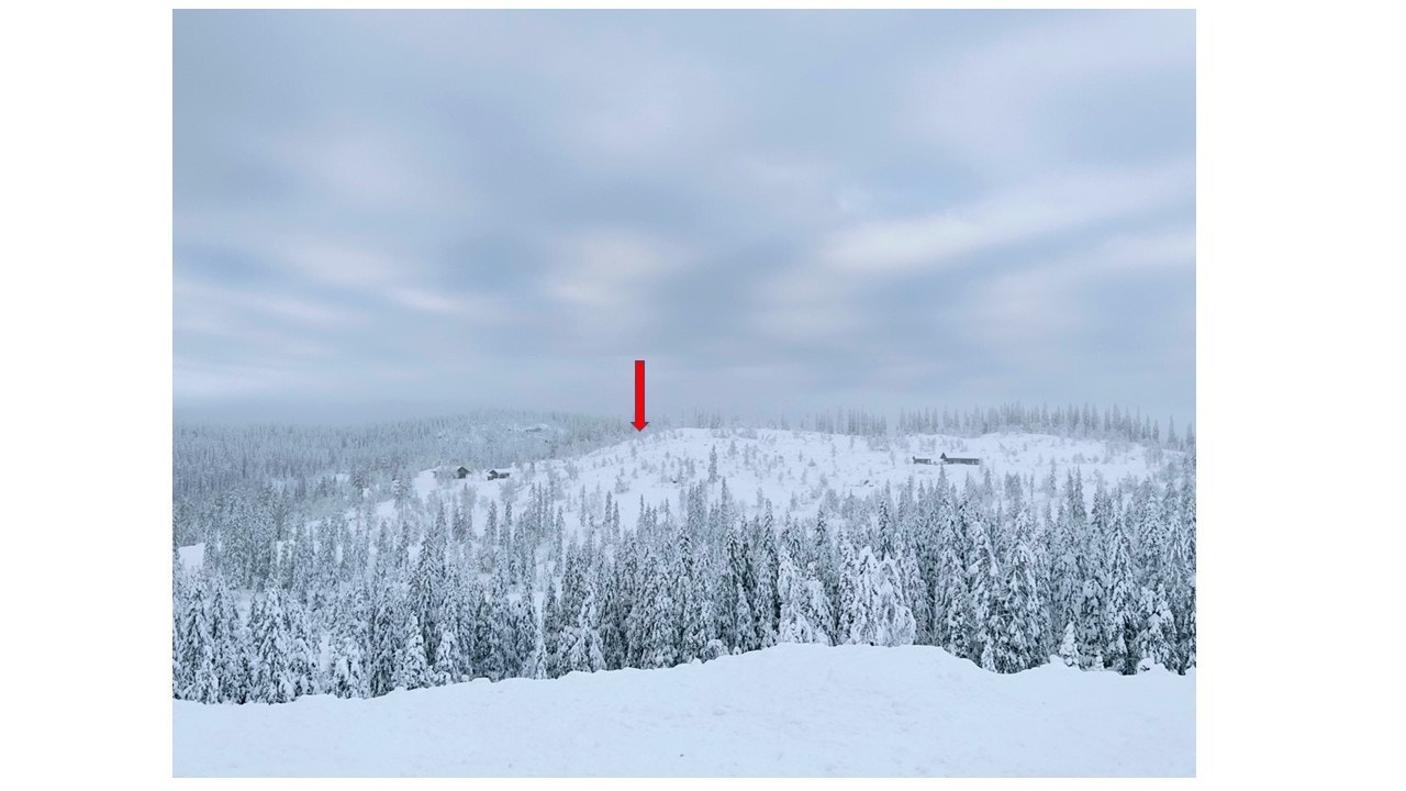 Her kan du bygge hyttedrømmen Galleribilde