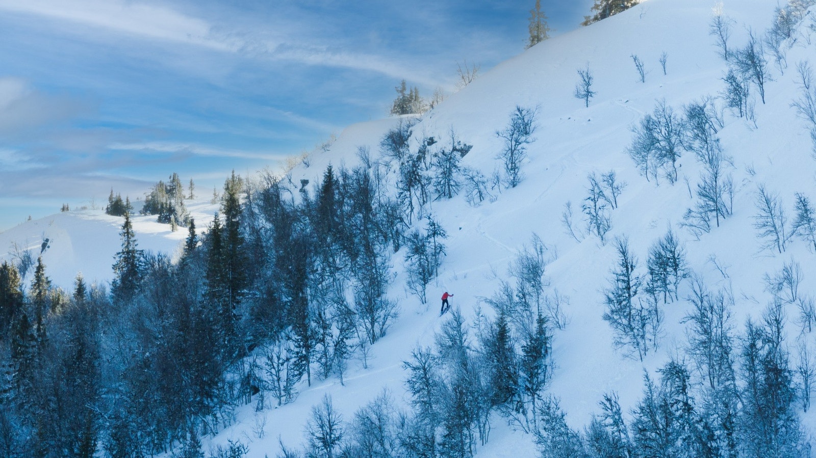 Hestknappen som ligger bak hytta, kan benyttes til så mangt - en liten randotur om du ønsker! Galleribilde