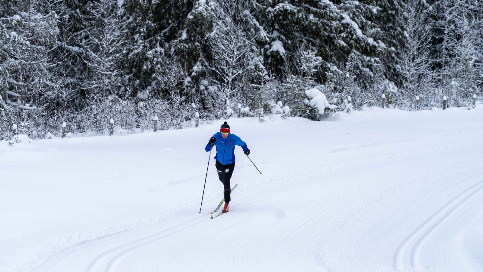 I fint driv i de milelange langrennsløypene Galleribilde
