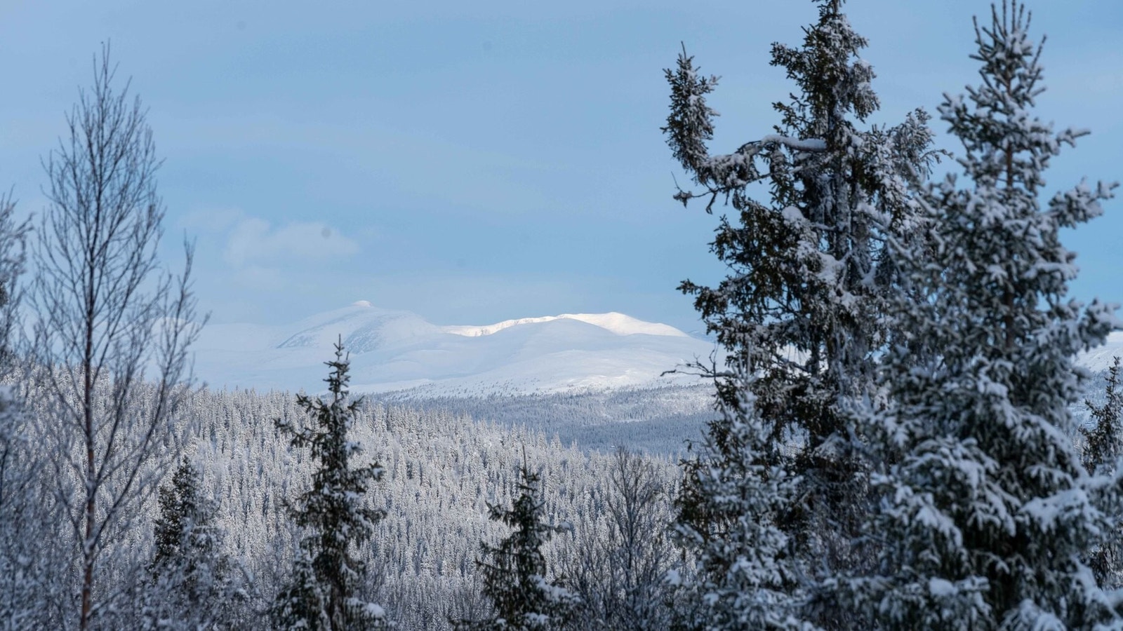 Utsikt mot Rondane fra tomteområdet Galleribilde