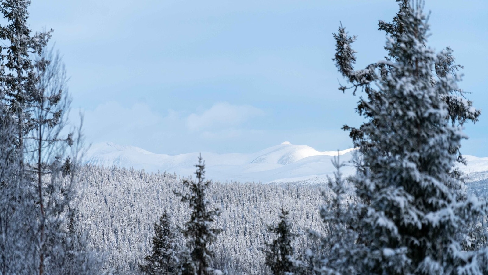 Utsikt mot Rondane fra tomteområdet Galleribilde