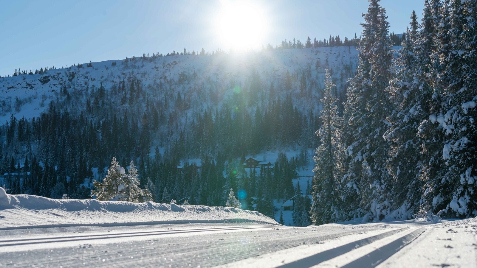 Tomteområdet har direkte tilgang til et enormt løypenett for langrenn Galleribilde