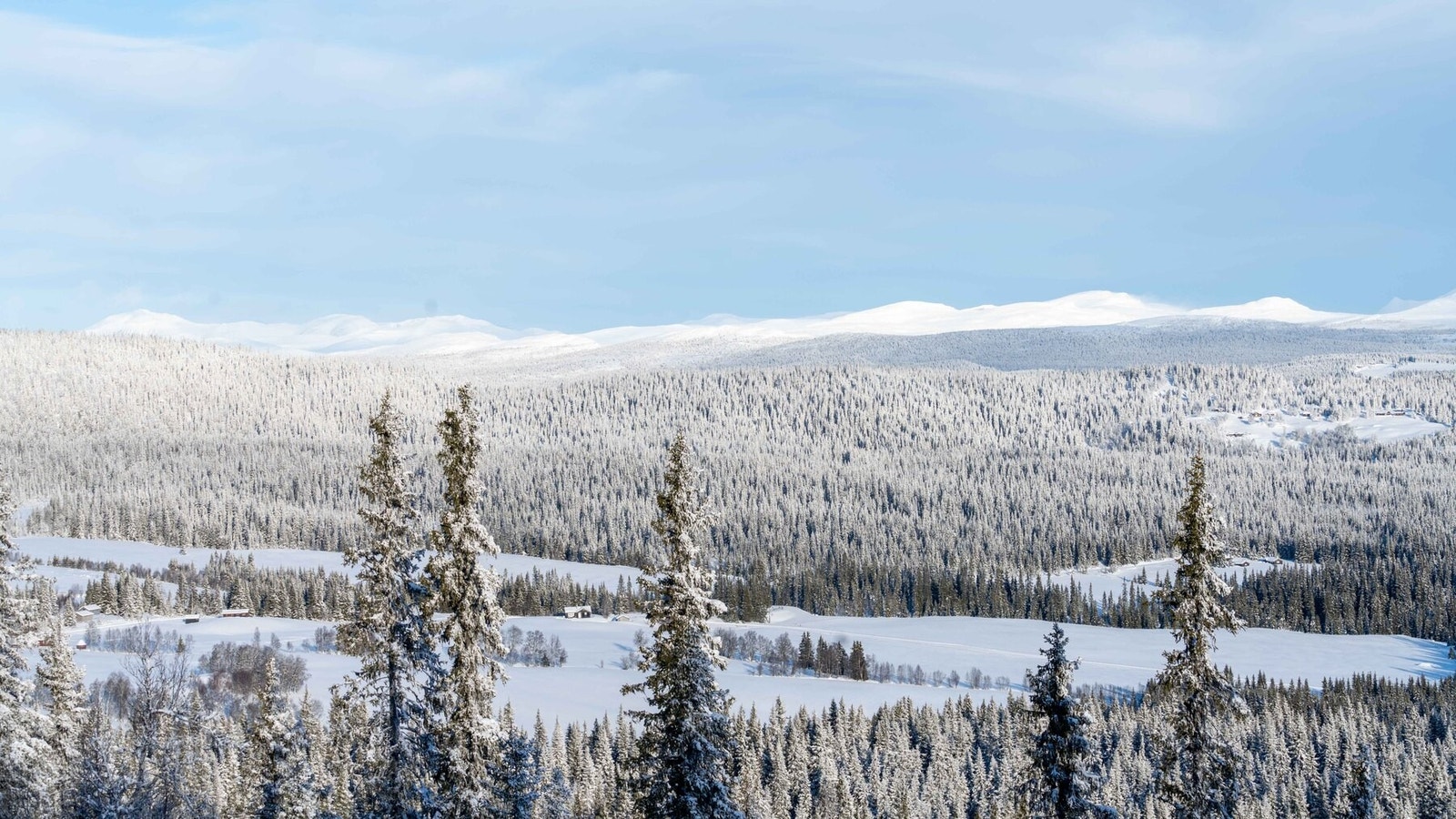 Foto fra tomteområdet mot utsikten i østlig retning Galleribilde
