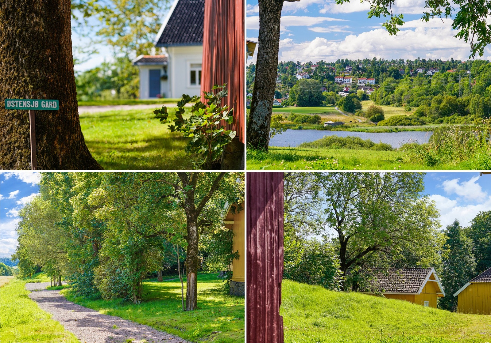 Østensjøvannet anbefales med sine flotte turstier og rike fugleliv, med over 200 forskjellige fuglearter Galleribilde