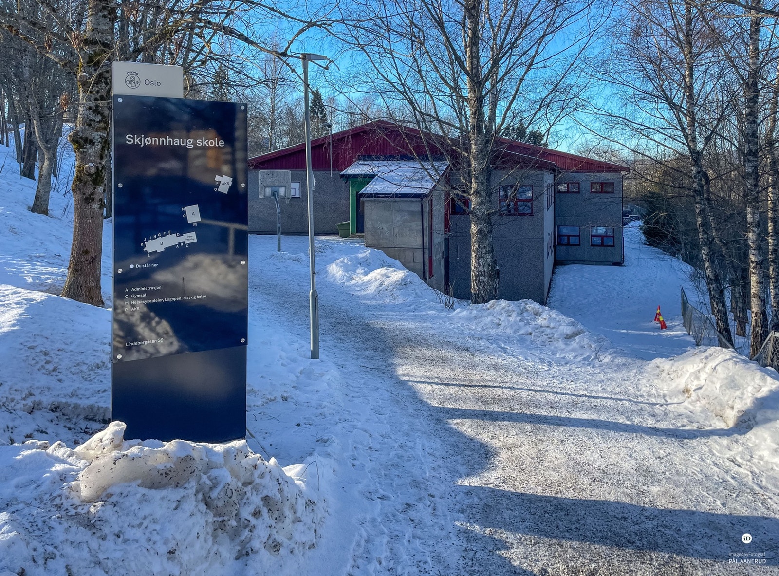 Det er mange barnehager og skoler i nærområdet. Skjønnhaug skole er en barneskole (1-7-skole) og ligger ca. 0.6 km fra boligen. Galleribilde