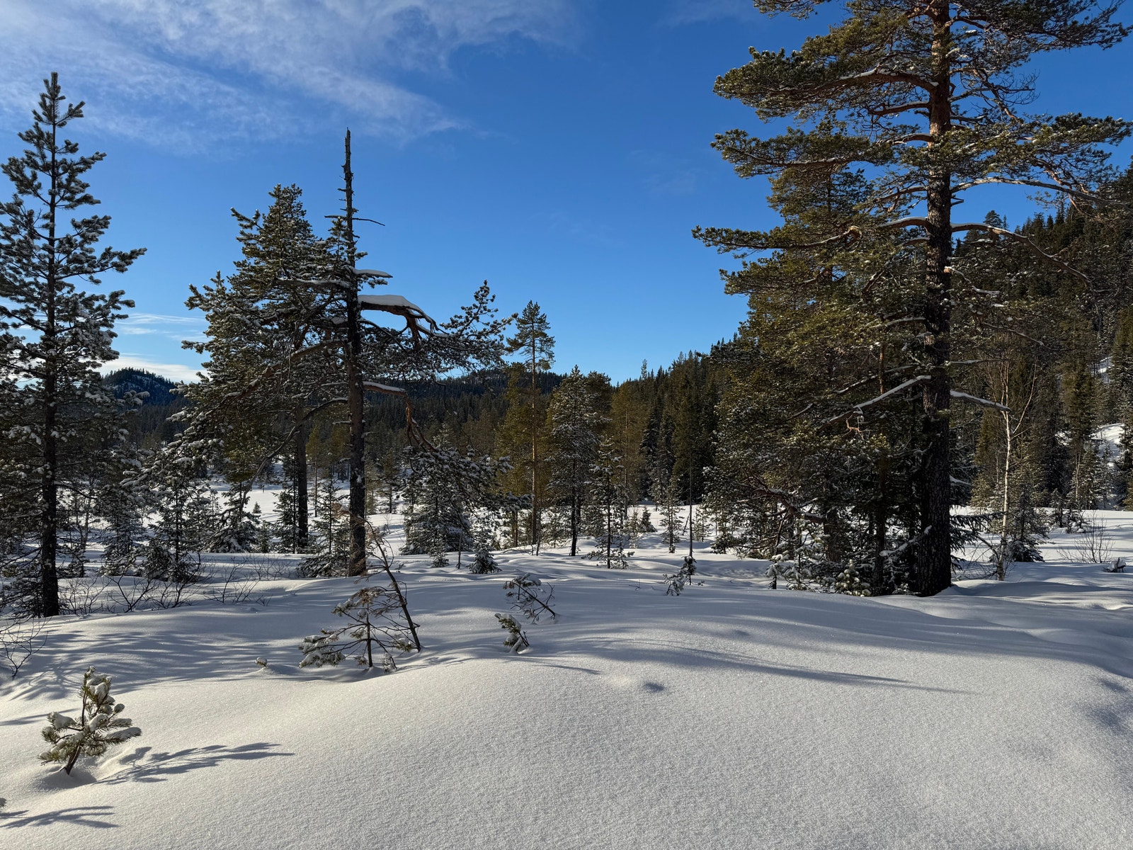 Utsikt fra Tomt A2 Galleribilde