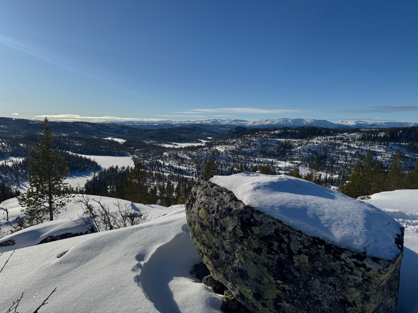 Utsikt over Søtlifjell hytteområdet og Trillemarka Galleribilde