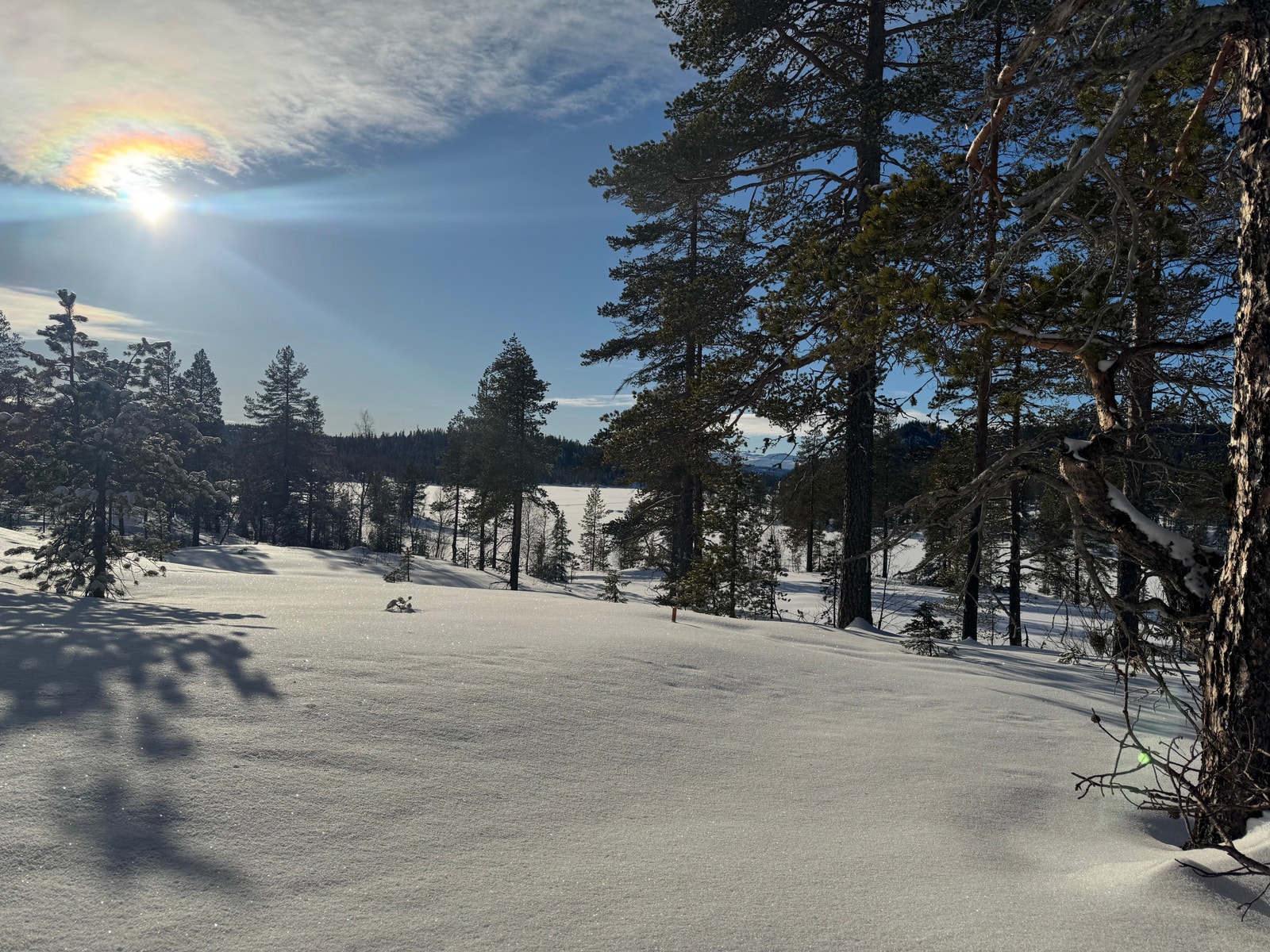 Utsikt fra Tomt A2 Galleribilde