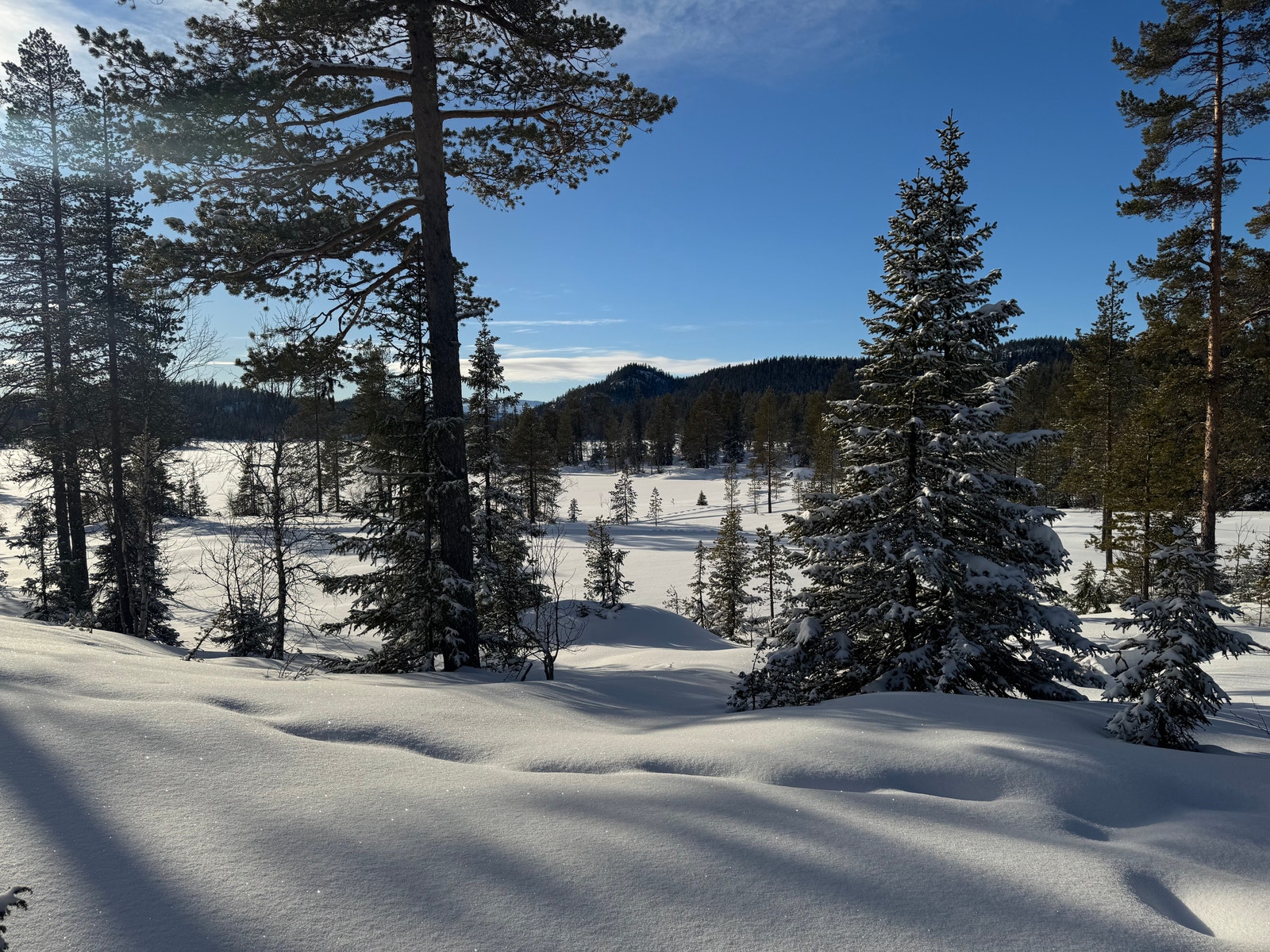 Utsikt fra Tomt A2 Galleribilde