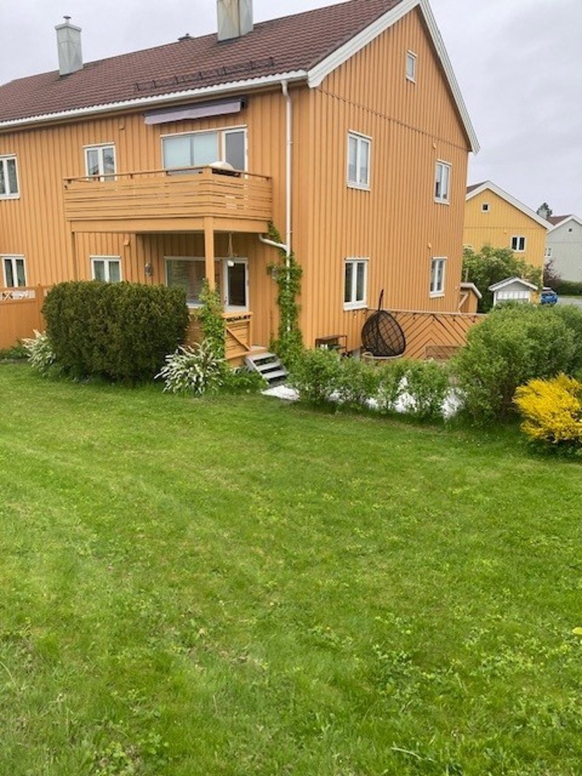 Bilde fra selger. Galleribilde