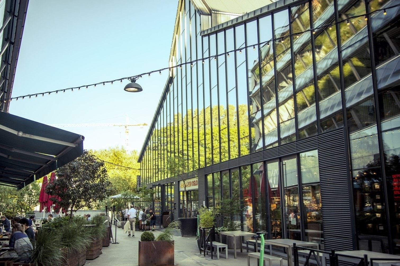 Vulkan. Galleribilde