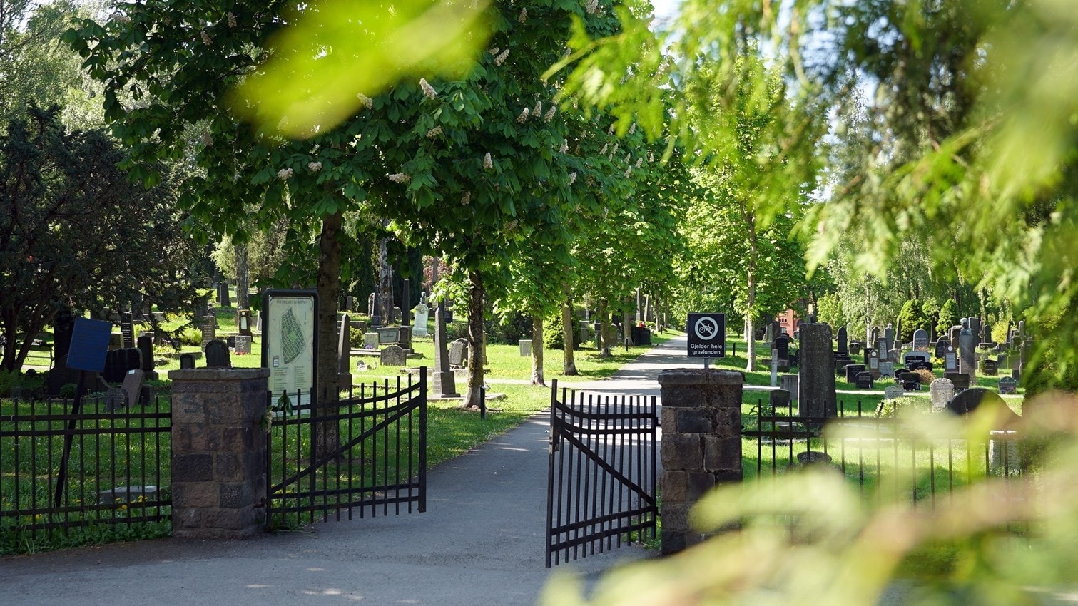 Dette området passer perfekt til deg som vil bo midt i byen og i nærheten til alt, uten all trafikk og støy. Galleribilde