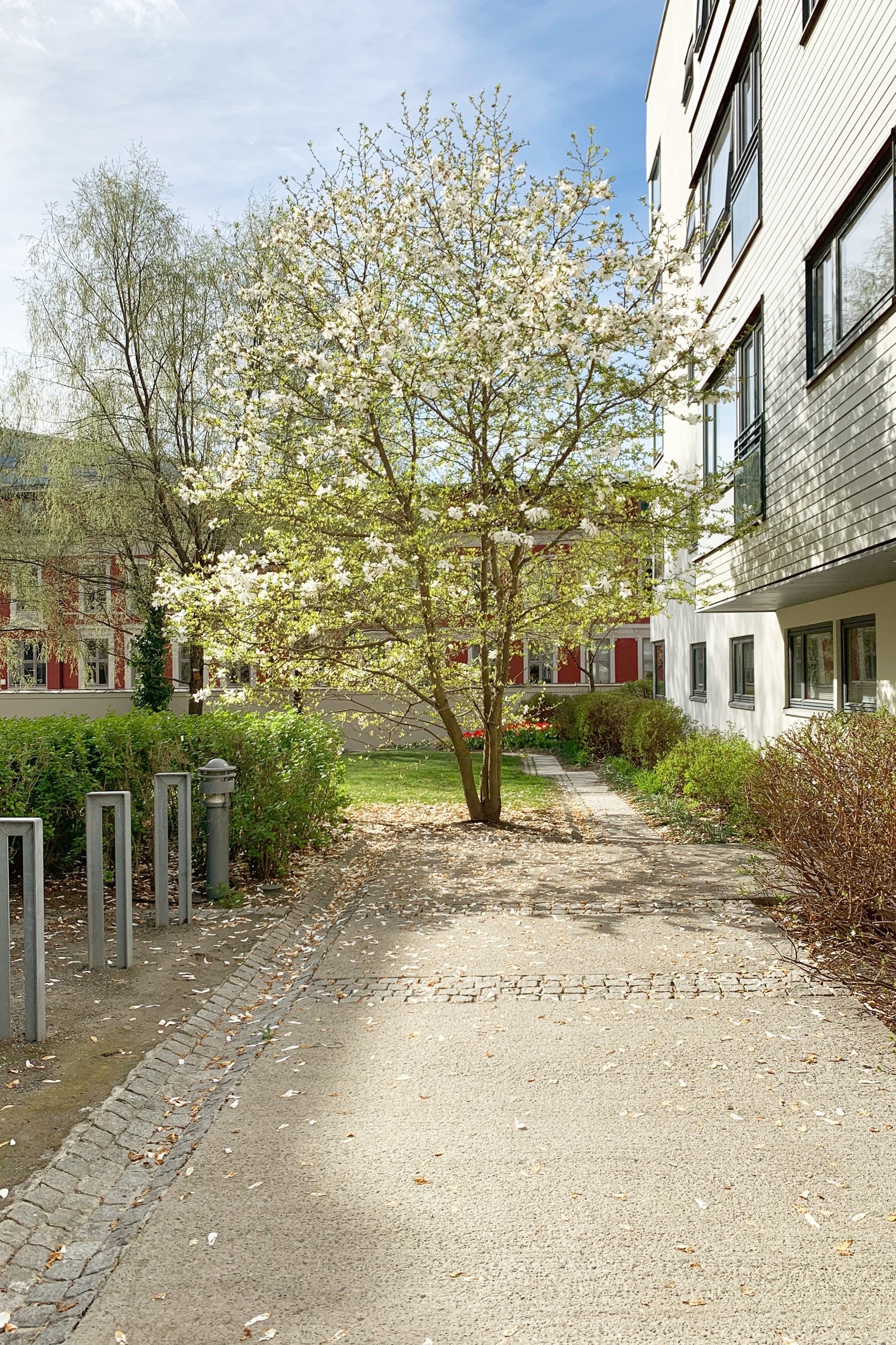 Fellesområdet er pent opparbeidet, og er grønt og frodig på sommeren med mye skjerming. Galleribilde