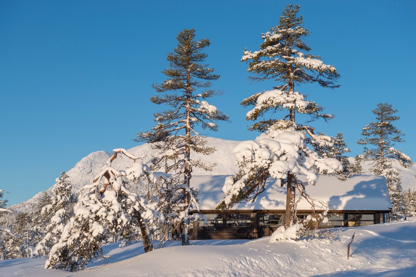 Lignende Ålhytte på tomt 25 Galleribilde
