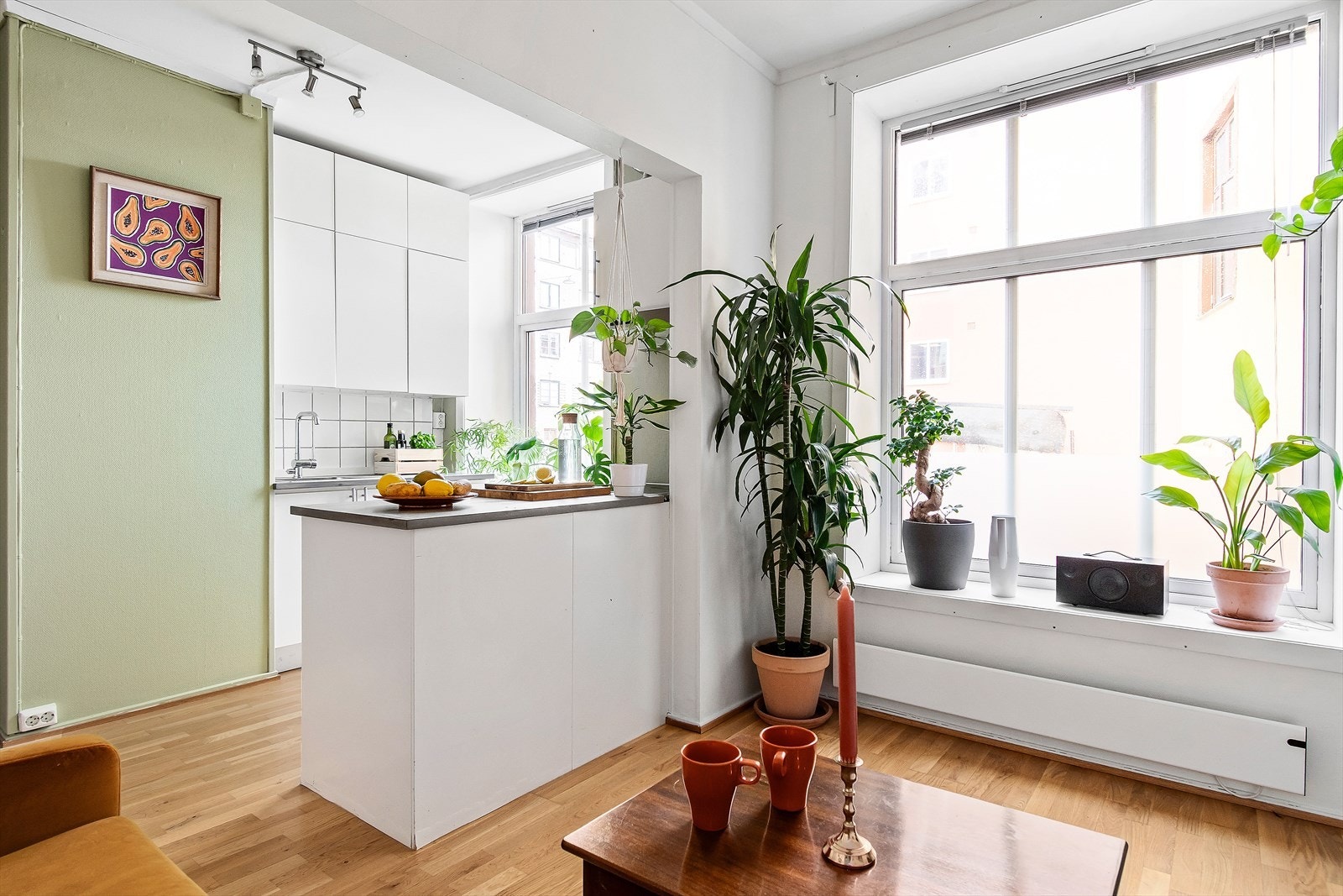 Dette er det perfekte førstegangskjøp beliggende ved praktfulle Iladalen park! Galleribilde